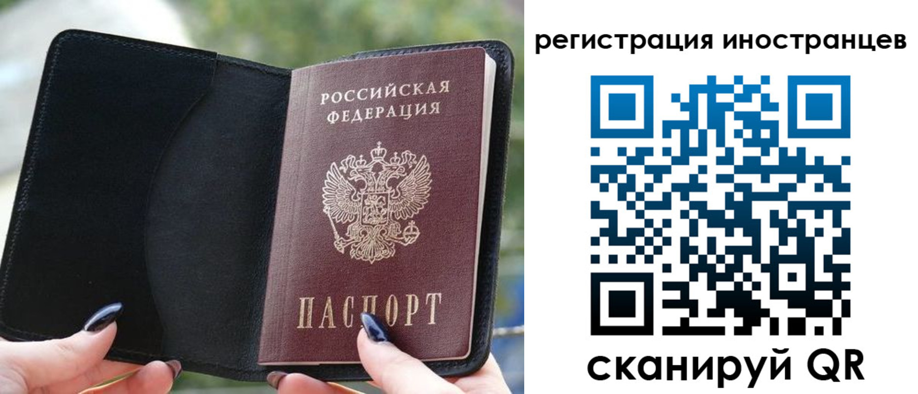 найти адрес прописки в Палласовке